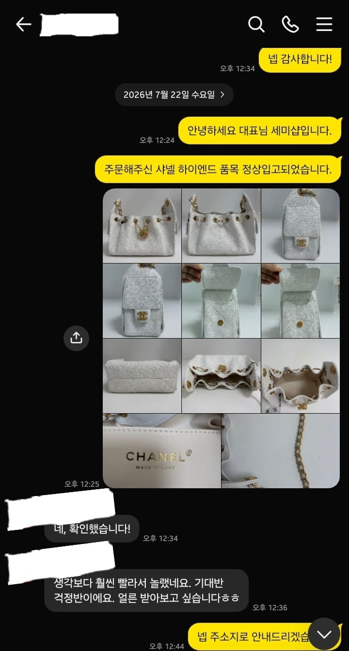 샤넬 25 호보 미니 화이트 - 이미지 1