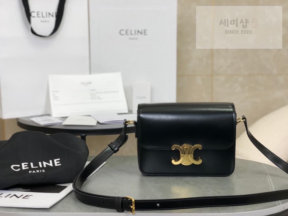 C E L I N E Celine Teen Triomphe Bag Shiny Calfskin Bag