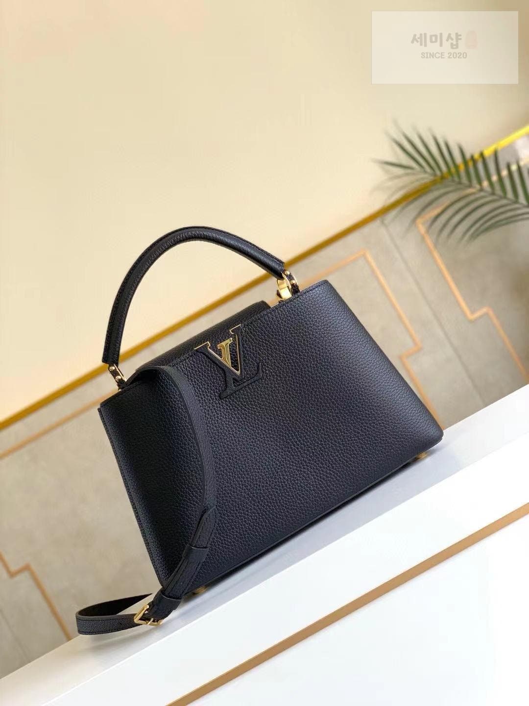 Louis Vuitton Louis Vuitton Capucine BB Bag